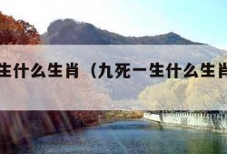 九死一生什么生肖（九死一生什么生肖及数字）