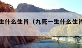 九死一生什么生肖（九死一生什么生肖及数字）