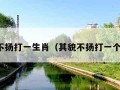 其貌不扬打一生肖（其貌不扬打一个生肖）