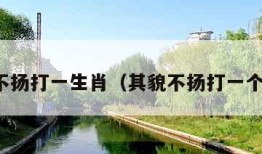 其貌不扬打一生肖（其貌不扬打一个生肖）