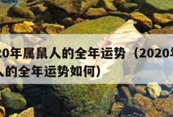 2020年属鼠人的全年运势（2020年属鼠人的全年运势如何）