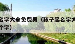 孩子起名字大全免费男（孩子起名字大全免费男女两个字）