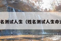 姓名测试人生（姓名测试人生命运）