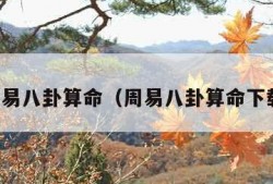 周易八卦算命（周易八卦算命下载）