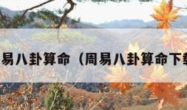 周易八卦算命（周易八卦算命下载）