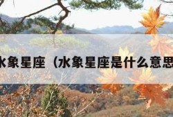 水象星座（水象星座是什么意思）