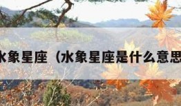 水象星座（水象星座是什么意思）