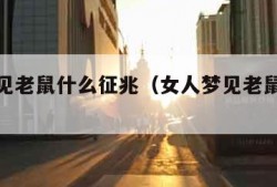 女人梦见老鼠什么征兆（女人梦见老鼠十大预兆）