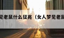 女人梦见老鼠什么征兆（女人梦见老鼠十大预兆）