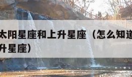 怎么看太阳星座和上升星座（怎么知道太阳星座和上升星座）