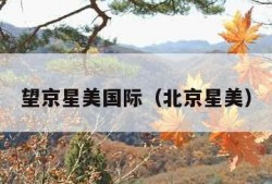 望京星美国际（北京星美）