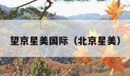 望京星美国际（北京星美）