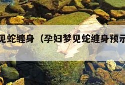 孕妇梦见蛇缠身（孕妇梦见蛇缠身预示着什么）