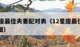 12星座最佳夫妻配对表（12星座最佳夫妻配对图）