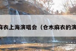 仓木麻衣上海演唱会（仓木麻衣的演唱会）