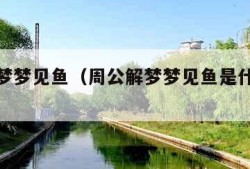 周公解梦梦见鱼（周公解梦梦见鱼是什么预兆 女性）