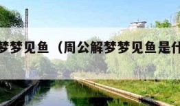 周公解梦梦见鱼（周公解梦梦见鱼是什么预兆 女性）