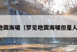 梦见地震海啸（梦见地震海啸但是人安全）