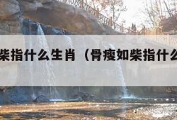 骨瘦如柴指什么生肖（骨瘦如柴指什么生肖一）