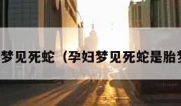 孕妇梦见死蛇（孕妇梦见死蛇是胎梦吗）