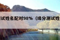 缘分测试姓名配对98%（缘分测试姓名配对9）