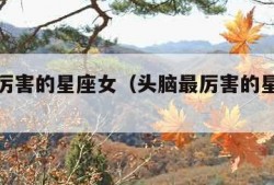 头脑最厉害的星座女（头脑最厉害的星座女排行榜）