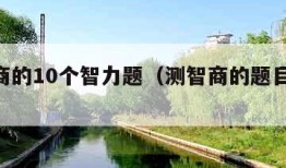 测智商的10个智力题（测智商的题目10题）