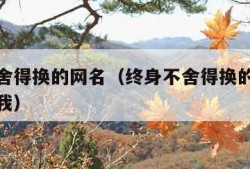 终身不舍得换的网名（终身不舍得换的网名不必谁懂我）