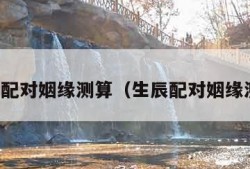 生辰配对姻缘测算（生辰配对姻缘测试）