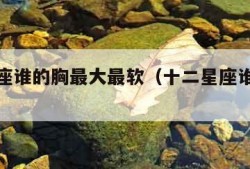 十二星座谁的胸最大最软（十二星座谁的胸大排行）