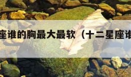 十二星座谁的胸最大最软（十二星座谁的胸大排行）