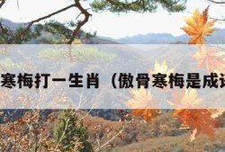 傲骨寒梅打一生肖（傲骨寒梅是成语吗）