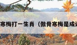 傲骨寒梅打一生肖（傲骨寒梅是成语吗）
