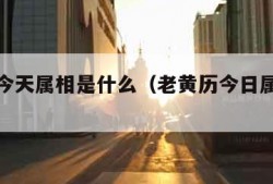 老黄历今天属相是什么（老黄历今日属相是什么）