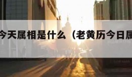 老黄历今天属相是什么（老黄历今日属相是什么）