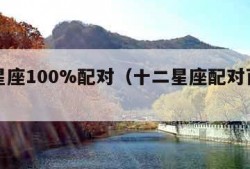 十二星座100%配对（十二星座配对百分比表）