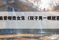 双子男偏爱哪类女生（双子男一眼就喜欢的女人）