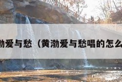 黄渤爱与愁（黄渤爱与愁唱的怎么样）