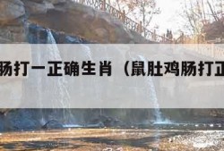 鼠肚鸡肠打一正确生肖（鼠肚鸡肠打正确生肖动物）