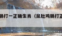 鼠肚鸡肠打一正确生肖（鼠肚鸡肠打正确生肖动物）