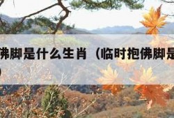 临时抱佛脚是什么生肖（临时抱佛脚是什么生肖动物）