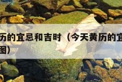 今天黄历的宜忌和吉时（今天黄历的宜忌和吉时九宫图）