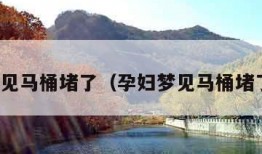 梦见马桶堵了（孕妇梦见马桶堵了）