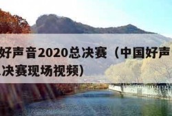 中国好声音2020总决赛（中国好声音2020总决赛现场视频）