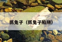 抓兔子（抓兔子陷阱）