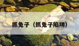 抓兔子（抓兔子陷阱）