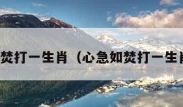 心急如焚打一生肖（心急如焚打一生肖谜语）