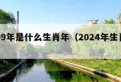 2009年是什么生肖年（2024年生肖运势）