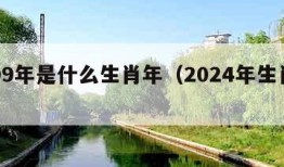 2009年是什么生肖年（2024年生肖运势）