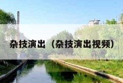 杂技演出（杂技演出视频）